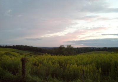 467170 10151016902596372 450401067 O